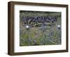 Wheel Gate and Fence with Blue Bonnets, Indian Paint Brush and Phlox, Near Devine, Texas, USA-Darrell Gulin-Framed Photographic Print