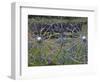 Wheel Gate and Fence with Blue Bonnets, Indian Paint Brush and Phlox, Near Devine, Texas, USA-Darrell Gulin-Framed Photographic Print