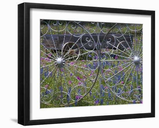 Wheel Gate and Fence with Blue Bonnets, Indian Paint Brush and Phlox, Near Devine, Texas, USA-Darrell Gulin-Framed Photographic Print