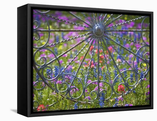 Wheel Gate and Fence with Blue Bonnets, Indian Paint Brush and Phlox, Near Devine, Texas, USA-Darrell Gulin-Framed Stretched Canvas