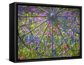 Wheel Gate and Fence with Blue Bonnets, Indian Paint Brush and Phlox, Near Devine, Texas, USA-Darrell Gulin-Framed Stretched Canvas