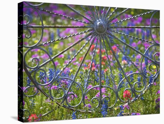 Wheel Gate and Fence with Blue Bonnets, Indian Paint Brush and Phlox, Near Devine, Texas, USA-Darrell Gulin-Stretched Canvas