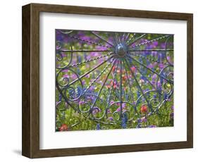 Wheel Gate and Fence with Blue Bonnets, Indian Paint Brush and Phlox, Near Devine, Texas, USA-Darrell Gulin-Framed Photographic Print