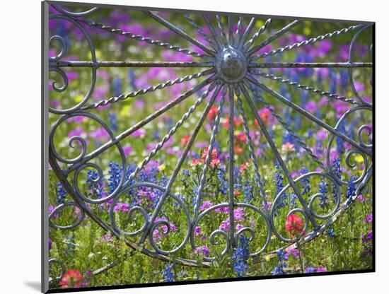 Wheel Gate and Fence with Blue Bonnets, Indian Paint Brush and Phlox, Near Devine, Texas, USA-Darrell Gulin-Mounted Photographic Print