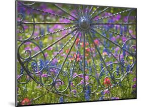 Wheel Gate and Fence with Blue Bonnets, Indian Paint Brush and Phlox, Near Devine, Texas, USA-Darrell Gulin-Mounted Photographic Print