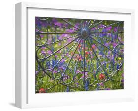 Wheel Gate and Fence with Blue Bonnets, Indian Paint Brush and Phlox, Near Devine, Texas, USA-Darrell Gulin-Framed Photographic Print