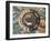 Wheel of Life Showing Rooster, Snake and Pig, Kopan Monastery, Kathmandu-Godong-Framed Photographic Print