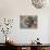 Wheel of Life Showing Rooster, Snake and Pig, Kopan Monastery, Kathmandu-Godong-Photographic Print displayed on a wall