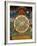 Wheel of Life, Tibetan Art, China-Doug Traverso-Framed Photographic Print