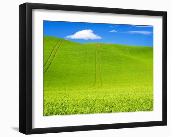 Wheel Patterns in Spring pea fields-Terry Eggers-Framed Photographic Print