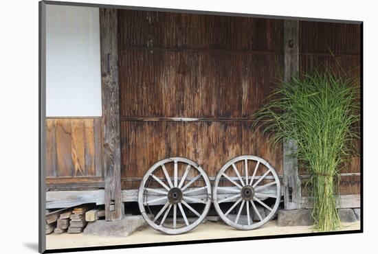 Wheel with Gassho-zukuri house, Ainokura Village, Gokayama, Japan-Keren Su-Mounted Photographic Print