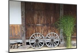 Wheel with Gassho-zukuri house, Ainokura Village, Gokayama, Japan-Keren Su-Mounted Photographic Print