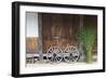 Wheel with Gassho-zukuri house, Ainokura Village, Gokayama, Japan-Keren Su-Framed Photographic Print