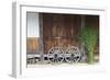 Wheel with Gassho-zukuri house, Ainokura Village, Gokayama, Japan-Keren Su-Framed Photographic Print