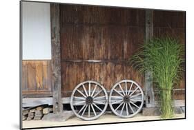 Wheel with Gassho-zukuri house, Ainokura Village, Gokayama, Japan-Keren Su-Mounted Photographic Print