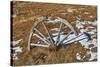 Wheel-Robert Kaler-Stretched Canvas