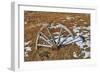 Wheel-Robert Kaler-Framed Photographic Print