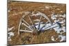 Wheel-Robert Kaler-Mounted Photographic Print