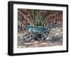 Wheelbarrow, 2005-Tilly Willis-Framed Giclee Print