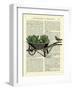 Wheelbarrow Lettuce & Bird-Marion Mcconaghie-Framed Giclee Print