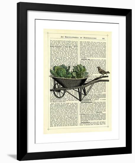 Wheelbarrow Lettuce & Bird-Marion Mcconaghie-Framed Giclee Print