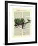 Wheelbarrow Lettuce & Bird-Marion Mcconaghie-Framed Giclee Print