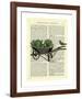 Wheelbarrow Lettuce & Bird-Marion Mcconaghie-Framed Giclee Print