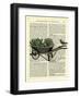 Wheelbarrow Lettuce & Bird-Marion Mcconaghie-Framed Art Print