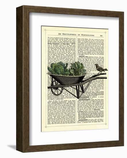 Wheelbarrow Lettuce & Bird-Marion Mcconaghie-Framed Art Print