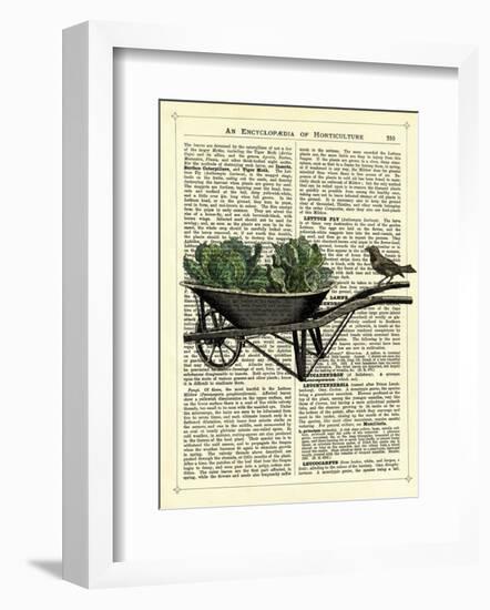 Wheelbarrow Lettuce & Bird-Marion Mcconaghie-Framed Art Print