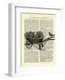 Wheelbarrow Lettuce & Bird-Marion Mcconaghie-Framed Art Print