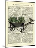 Wheelbarrow Lettuce & Bird-Marion Mcconaghie-Mounted Art Print
