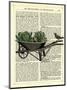 Wheelbarrow Lettuce & Bird-Marion Mcconaghie-Mounted Art Print