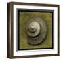 Whelk Crown-John Golden-Framed Art Print