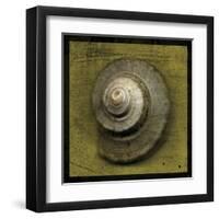 Whelk Crown-John Golden-Framed Art Print