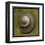 Whelk Crown-John Golden-Framed Art Print