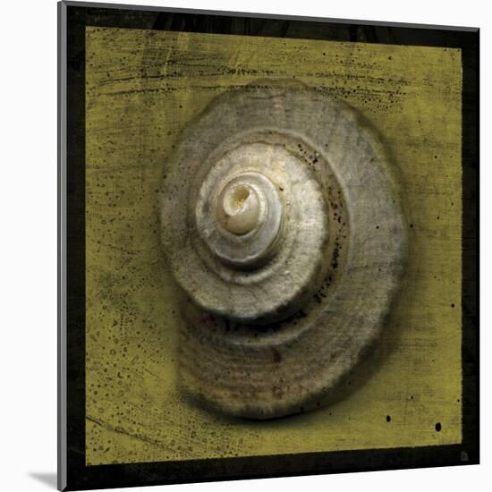 Whelk Crown-John Golden-Mounted Art Print