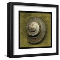 Whelk Crown-John W^ Golden-Framed Art Print