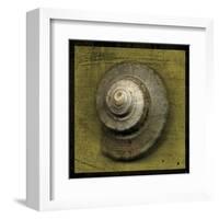 Whelk Crown-John W^ Golden-Framed Art Print