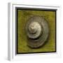 Whelk Crown-John W Golden-Framed Giclee Print