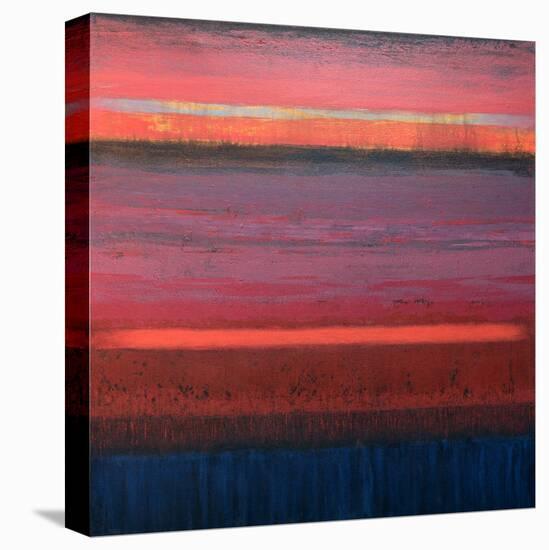 When Evening Comes-Jeannie Sellmer-Stretched Canvas