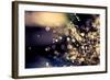 When Fairies Dream-Incredi-Framed Photographic Print