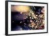 When Fairies Dream-Incredi-Framed Photographic Print