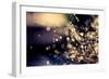 When Fairies Dream-Incredi-Framed Photographic Print