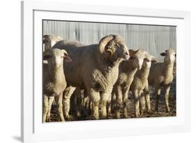 When I'm Older-Amanda Lee Smith-Framed Photographic Print