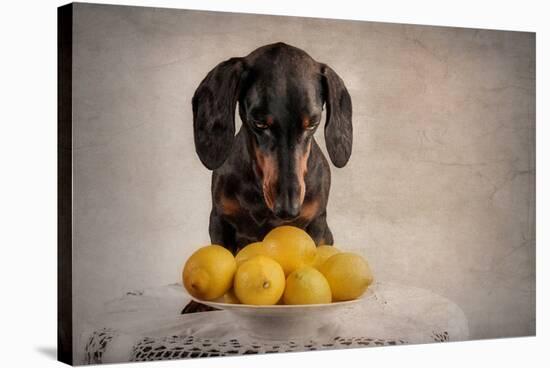 When Life Gives You Lemons...-Heike Willers-Stretched Canvas