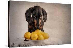 When Life Gives You Lemons...-Heike Willers-Stretched Canvas