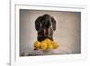 When Life Gives You Lemons...-Heike Willers-Framed Photographic Print