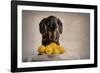 When Life Gives You Lemons...-Heike Willers-Framed Photographic Print