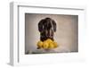 When Life Gives You Lemons...-Heike Willers-Framed Photographic Print